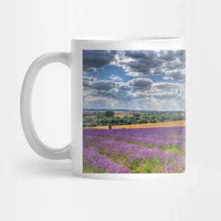 Lavender Farm Mug